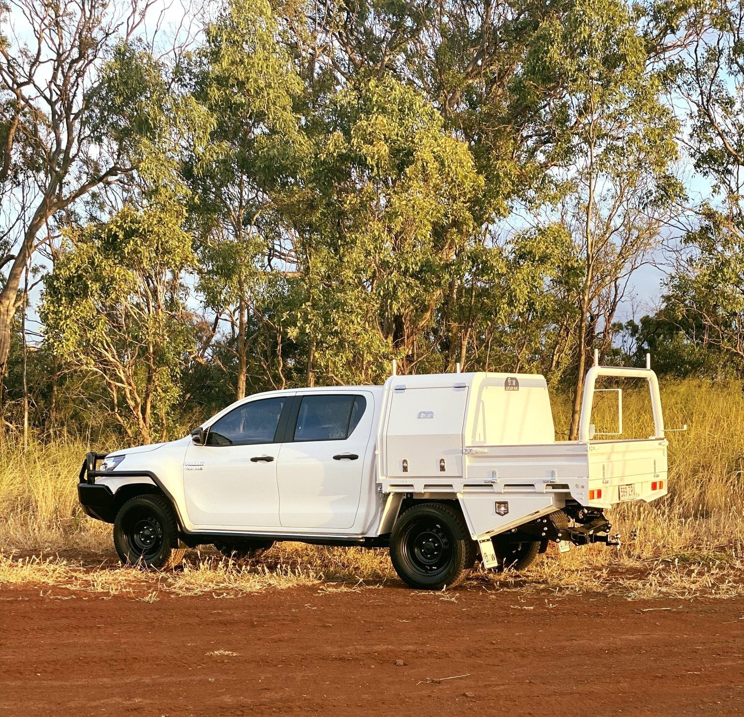 DMW Dog Boxes - Image 7
